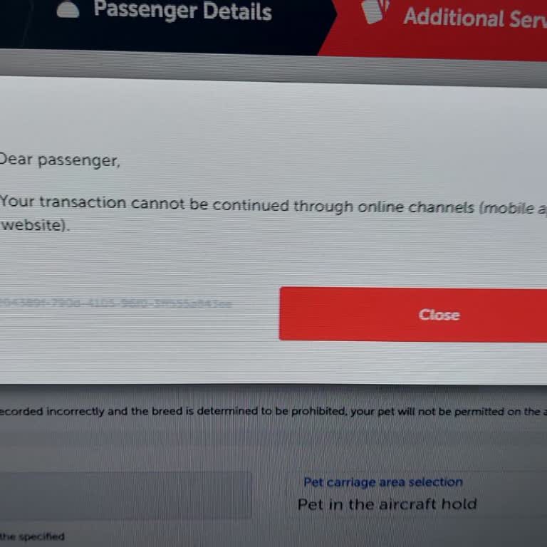 Información Incorrecta del Centro de Llamadas de Turkish Airlines para Transporte de Mascotas