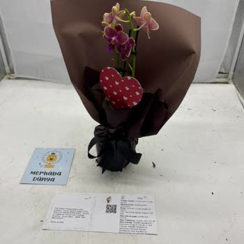 Taze Çiçek Siparişimde Yaşadığım Hayal Kırıklığı