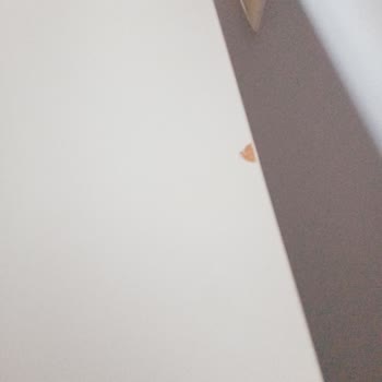 Octovan Nakliye Sonrası Ektedir