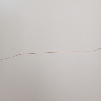 Octovan Nakliye Sonrası Ektedir