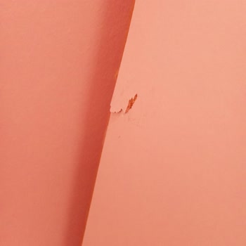 Octovan Nakliye Sonrası Ektedir