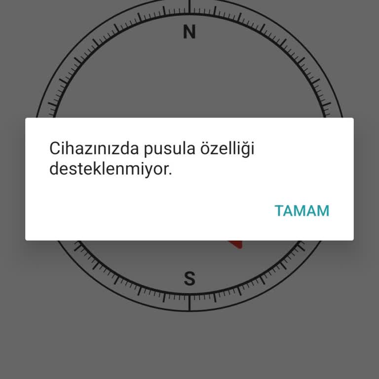 Samsung Galaxy A05s Pusula Sensörü