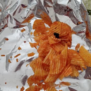 Ruffles Cips Paketinden Çıkan Yabancı Madde Şoku