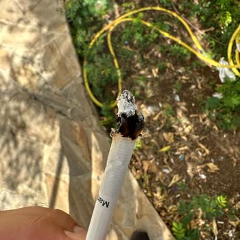 Marlboro Touch Blue Sigaradan Odun Ve Sarı Noktalar Çıktı