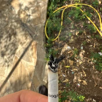 Marlboro Touch Blue Sigaradan Odun Ve Sarı Noktalar Çıktı