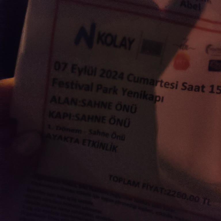 Zorlu PSM Live From Fest İçeri Alınmadım.