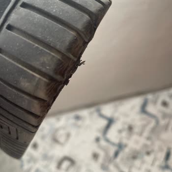 Bambi Özdilek Şubesi'nde Ayakkabı Sorunu Ve Müşteri Hizmetleri Deneyimi