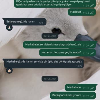 Engince'den Aldığım Koltuk 3 Haftada Mahvoldu, Marka Bir Şey Yapmıyor