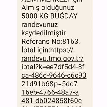 TMO Buğday Alım Ödemesini Ne Zaman Ödeyecek