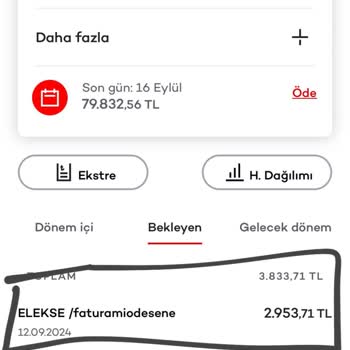 Elekse Ödeme Kuruluşu Faturam Ödenmedi Ve İletişim Sağlanamıyor
