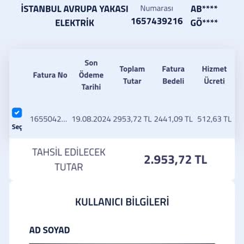 Elekse Ödeme Kuruluşu Faturam Ödenmedi Ve İletişim Sağlanamıyor