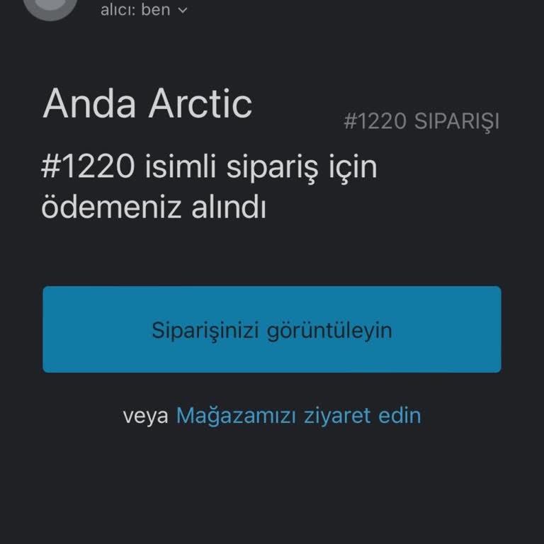 Anda Arctic Sitesi Siparişimi Göndermedi!