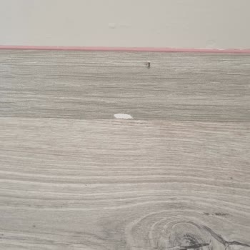 AGT Ağaç Sanayi Yeni Evde Parkelerin Kalitesiz Ve Defolu Çıkması