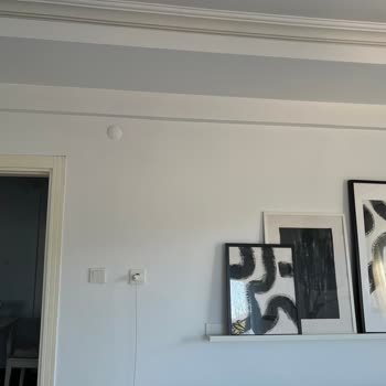 Filli Boya İpeksi 10 Kartelada Başka Eve Gelen Başka!