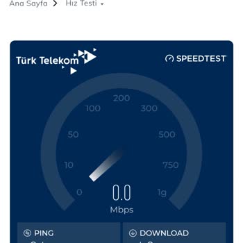 Şok Net Mi? Kaplumbağa Net Mi?