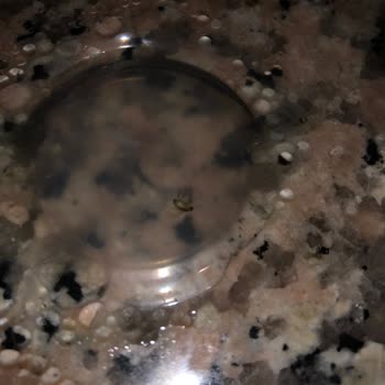 A101 Kendi Markası Olan Makarnada Böcek Çıktı