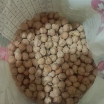 Amazon Paquete de Invierno: Productos Infestados, Buscando Responsabilidad