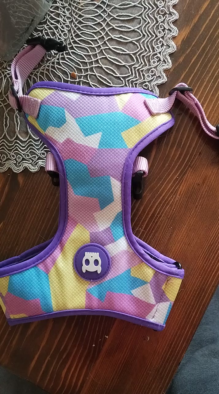 Pedido de Amazon Prime en tamaño incorrecto! Arnés para mascotas inseguro Portada de vídeo
