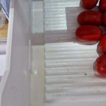 Bosch Buzdolabı Soğutmuyor. Derin Dondurucu Soğutuyor Diğer Taraf Yok