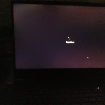 HP Victus Ekran Kusurları