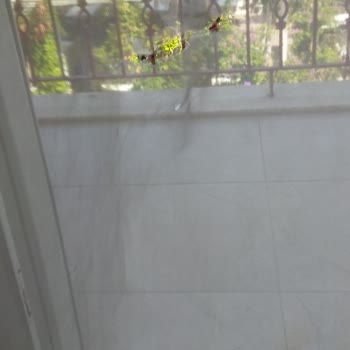 Side Legend Hotel Rezervasyon Sorunu Ve Hijyen Eksiklikleri