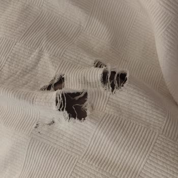 Side Legend Hotel Rezervasyon Sorunu Ve Hijyen Eksiklikleri