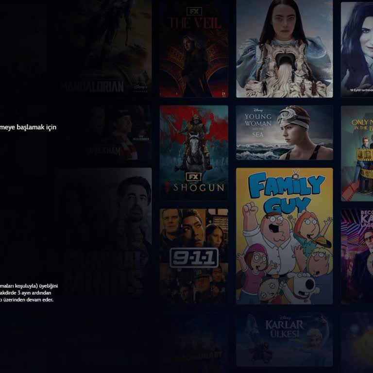 Disney+ Disney Parola Sıfırlama Hatası