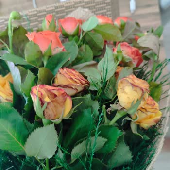 Osevio Sitesinden Çiçek