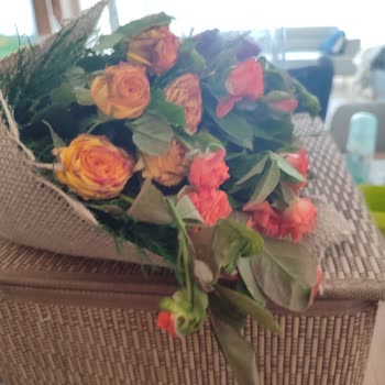 Osevio Sitesinden Çiçek