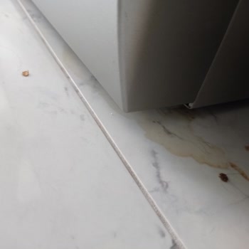 Samsung Bulaşık Makinesi Arızası 1.5 Yıldır Devam Ediyor.