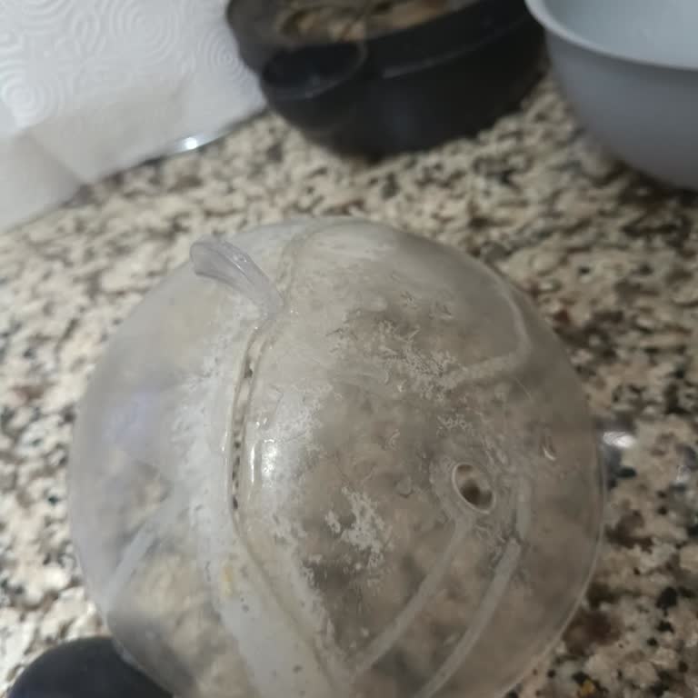 Sinbo Yumurta Pişirme Makinesi Yedek Parça Bulamama