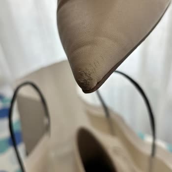 Mango Ürününün Arkasında Dursun