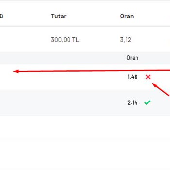 Misli.com İnternet Sitesi
