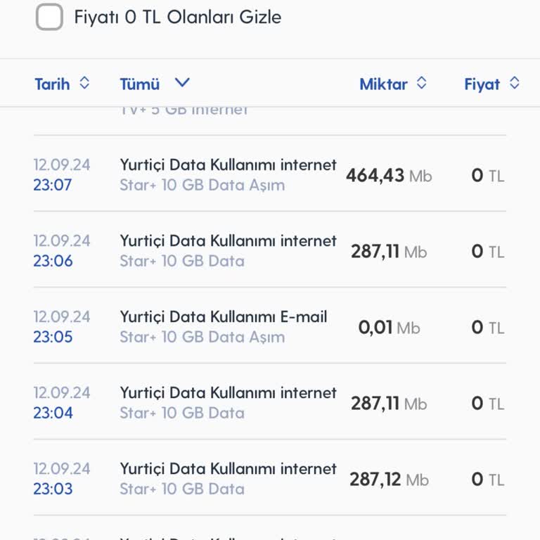 Haksız İnternet Kullanım Ücreti ve İnceleme Talebi