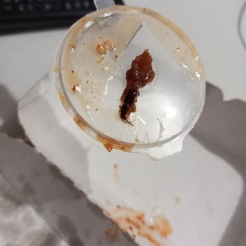 Makarna Company Böcek Tarifli Sosu