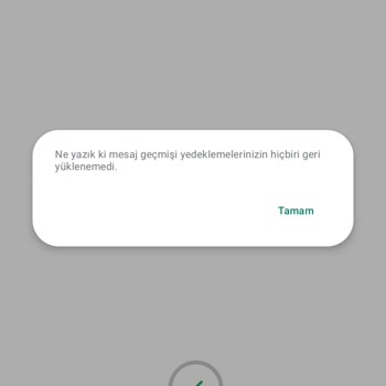 WhatsApp Sohbet Yedeği Yüklenmiyor...