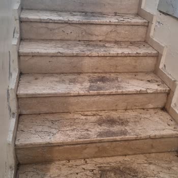 Kolejtepe Mahallesi'nde Yaşam Kalitesini Düşüren Çöp Ev Sorunu!