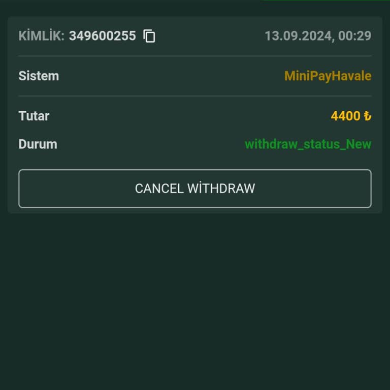 Şut Bet Ödemelerde Sorun Yaşayan Bir Site