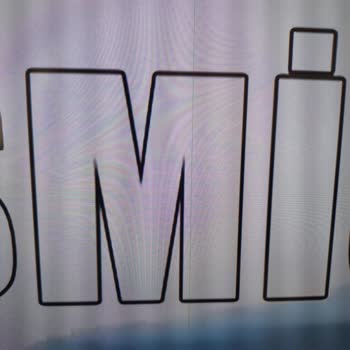 Vestel Yetkili Servis Sorunu