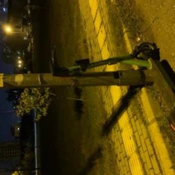 Martı Cezaları Şikayetçiyim