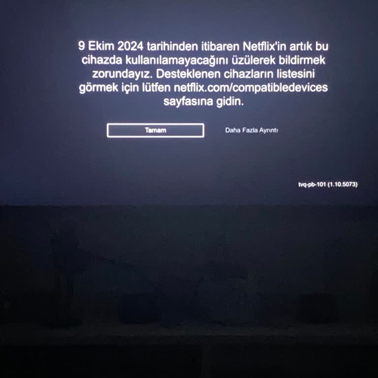 Netflix Neden Televizyonumda Kapanacak!