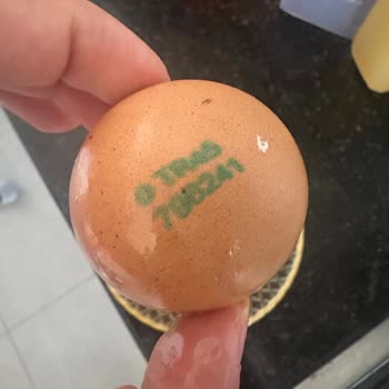 Raya Organik Bebeğime Yedirdiğim Yumurtaların Küflü Çıkması.