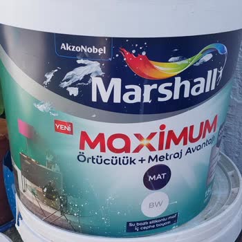 Marshall Boya Katalog Rengi Başka Çıktı