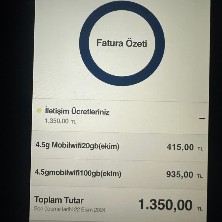 1 Günlük Gecikme İçin 1 Aylık Fatura Şoku!