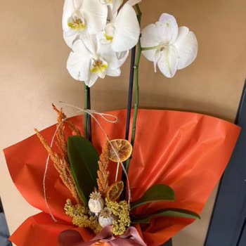 Taze Çiçek (tazecicek.com) Yanıltıcı Ürün Ve Geç Teslimat Sorunu