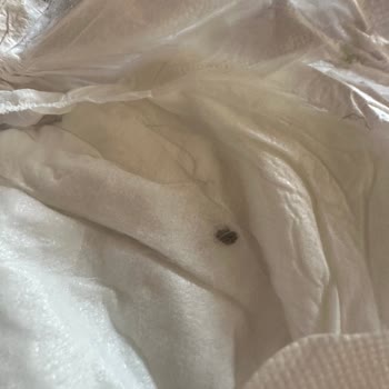 Sleepy Bebek Bezi İçinde Ölmüş Böcek Bulunması