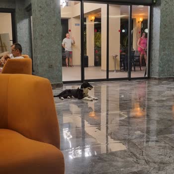 Palmeras Beach Hotel Hotel Hayvanat Bahçesini Andırıyor