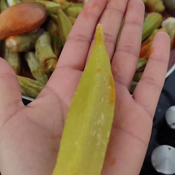 A101 Çokça Bamya Tohuma Kaçmış Paketlenmiş Ürün