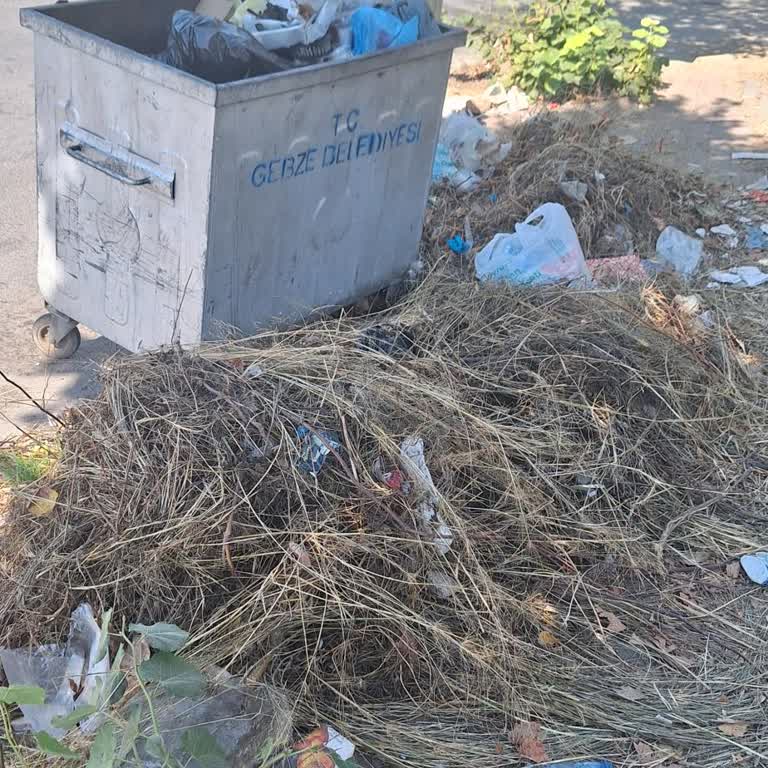 Gebze Belediyesi Çöpleri Almıyorlar Kokuyor
