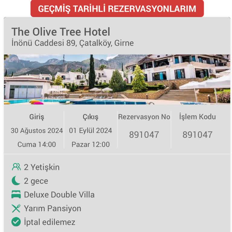 Obilet The Olive Tree Hotel Hotel Odasında Haşere